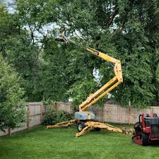 Best Lot and Land Clearing  in Clearlake Riviera, CA