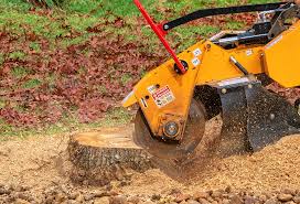 Best Lawn Watering Services  in Clearlake Riviera, CA